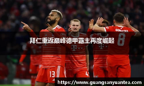 米乐m6