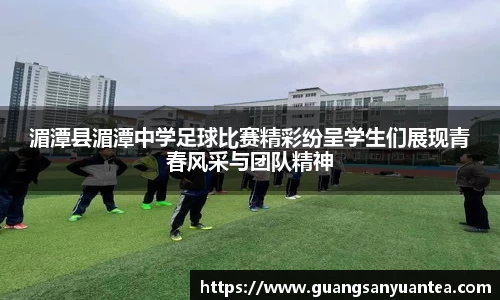米乐m6