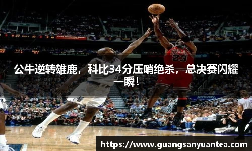 YY易游体育