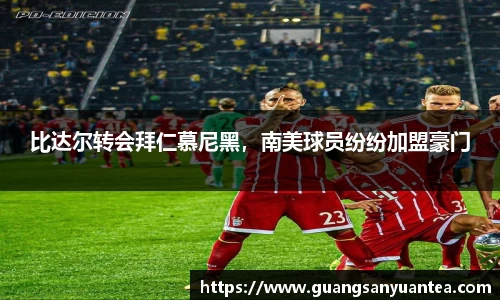 YY易游体育