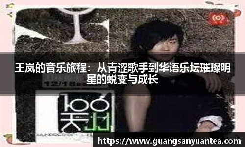 王岚的音乐旅程：从青涩歌手到华语乐坛璀璨明星的蜕变与成长