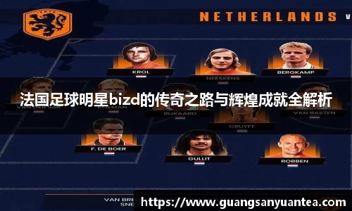 法国足球明星bizd的传奇之路与辉煌成就全解析