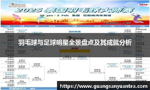 羽毛球与足球明星全景盘点及其成就分析