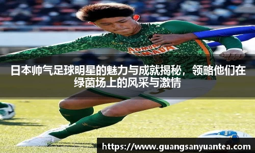日本帅气足球明星的魅力与成就揭秘，领略他们在绿茵场上的风采与激情