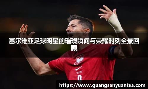 塞尔维亚足球明星的璀璨瞬间与荣耀时刻全景回顾