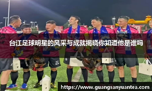 台江足球明星的风采与成就揭晓你知道他是谁吗