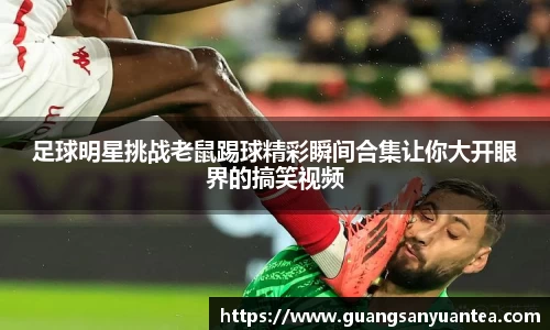 足球明星挑战老鼠踢球精彩瞬间合集让你大开眼界的搞笑视频